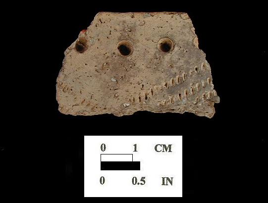 Sullivan Cove rim sherd (2 of 2) decorated with punctations and cord-wrapped dowel impressions from the Hallowing Point site 18CV31/1.